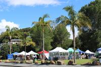 Markttreiben in Paihia