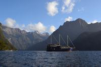 Milford Mariner vor Anker in der Harrison Cove