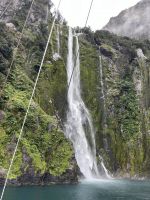 Milford Sound (4)