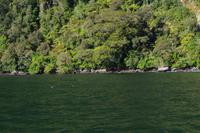 Milford Sound