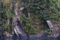 Milford Sound
