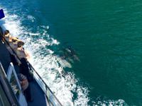 Milford Sound