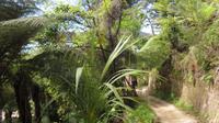 Miniwanderung