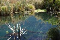 Mirror Lakes (4)