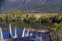 Mirror Lakes