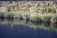 Mirror Lakes