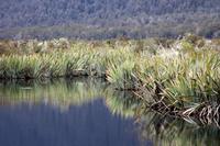 Mirror Lakes