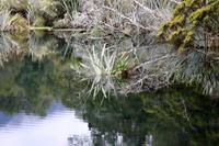 Mirror Lakes