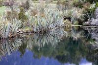 Mirror Lakes