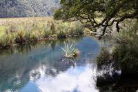 Mirror Lakes
