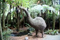 Moa