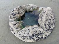Moeraki Boulders
