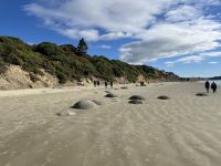 Moeraki Boulders