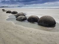 Moeraki Boulders