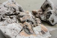 Moeraki Boulders