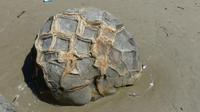 Moeraki