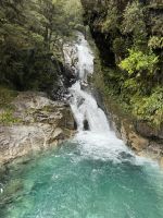 Monkey Creek 