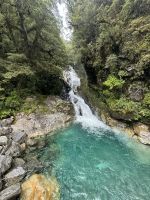 Monkey Creek 