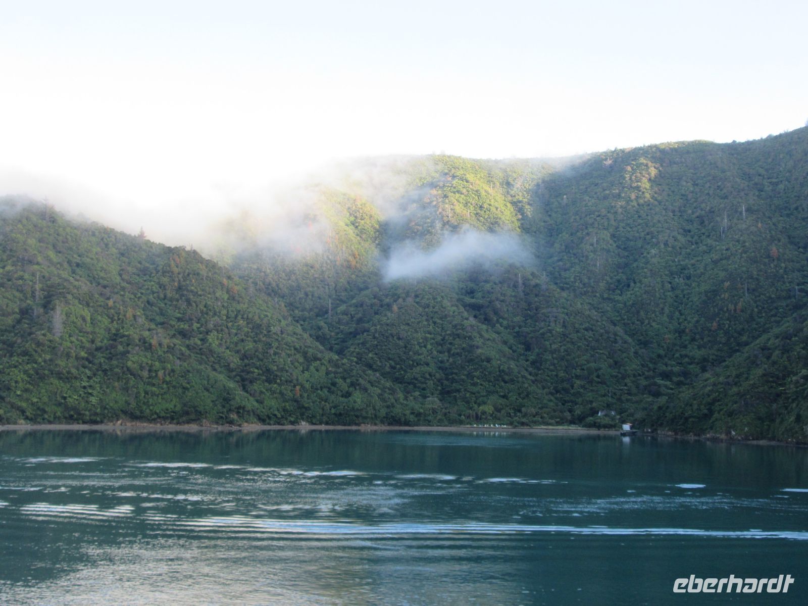 Morgenstimmung in den Marlborough Sounds