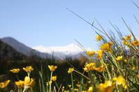 Mount Hooker