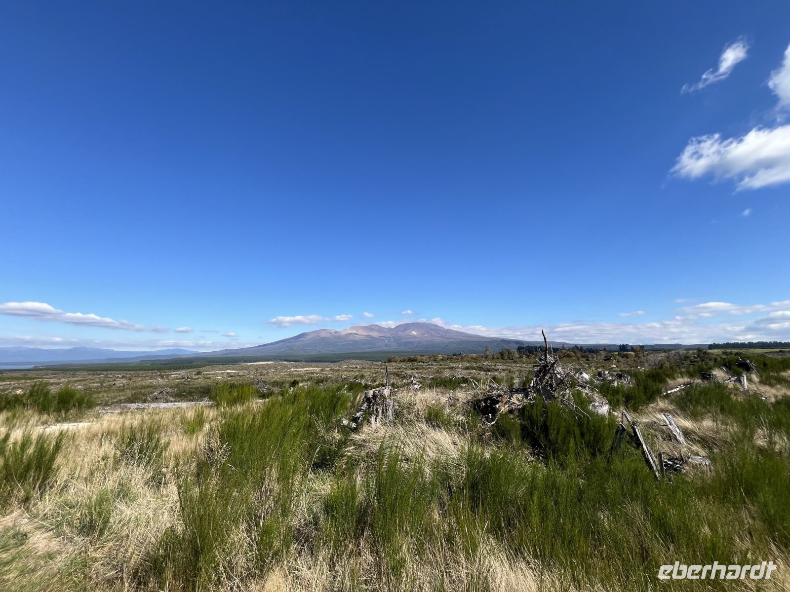 Mount Tongariro in der Ferne