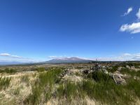 Mount Tongariro in der Ferne