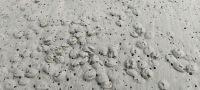 Muscheln am 90-miles-beach 