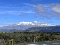 National Park (1)