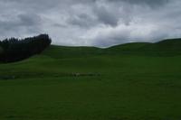 Natur pur