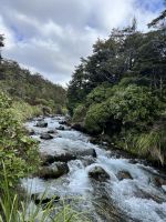 Nature Walk