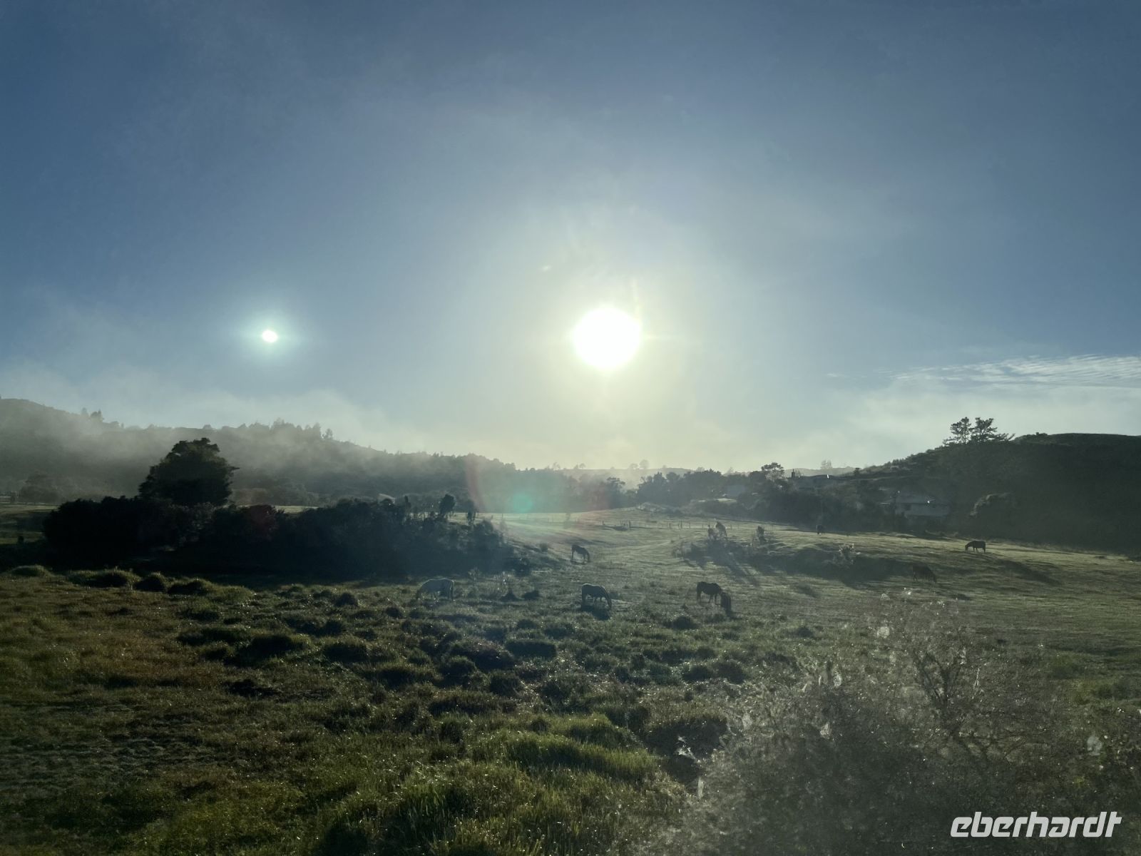 Nebel auf der Fahrt nach Auckland