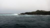 Neuseeland - Stewart Island - abendliche Kiwi Tour