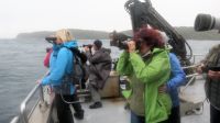 Neuseeland - Stewart Island - abendliche Kiwi Tour