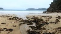 Neuseeland - Stewart Island - kleine Wanderung am Morgen