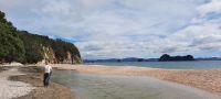 Neuseeland Nordinsel - Coromandel Halbinsel - Hahei Beach