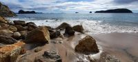 Neuseeland Nordinsel - Coromandel Halbinsel - Hahei Beach