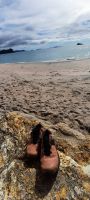 Neuseeland Nordinsel - Coromandel Halbinsel - Hahei Beach