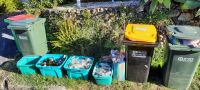 Neuseeland Nordinsel - Coromandel Halbinsel - Tag nach dem BBQ