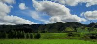 Neuseeland Nordinsel - Kiwi-Windkraft