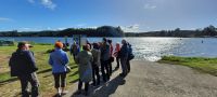 Neuseeland Nordinsel - Lake Aniwaniwa