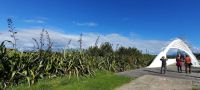 Neuseeland Nordinsel - New Plymouth - Rewa Rewa Bridge