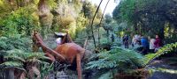 Neuseeland Nordinsel - Pukaha Wildlife Centre