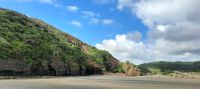 Neuseeland Nordinsel - Te Henga (Bethells Beach bei Auckland - Tasman See