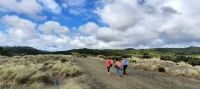 Neuseeland Nordinsel - Te Henga (Bethells Beach bei Auckland - Tasman See
