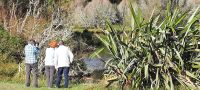 Neuseeland Nordinsel - on the road