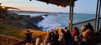 Neuseeland Südinsel -  Oamaru - abends bei den Zwergpinguinen