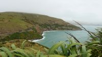 Neuseeland Südinsel -  Otago Halbinsel