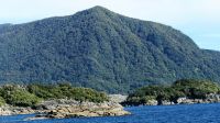 Neuseeland Südinsel - Fjordland Nationalpark - Doubtful Sound