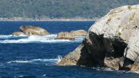 Neuseeland Südinsel - Fjordland Nationalpark - Tasman Sea