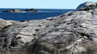 Neuseeland Südinsel - Fjordland Nationalpark - Tasman Sea